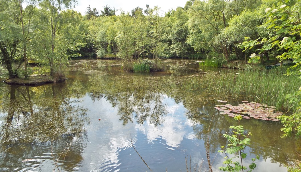 Otley Chevin Country Hotel and Spa lake