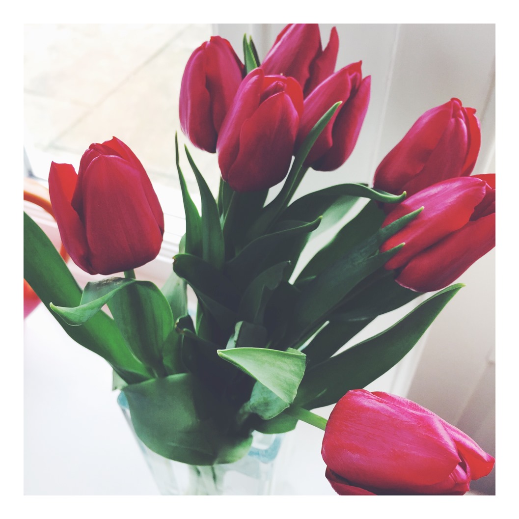 My Favourite Thought Provoking Posts of the Week | QueenBeady