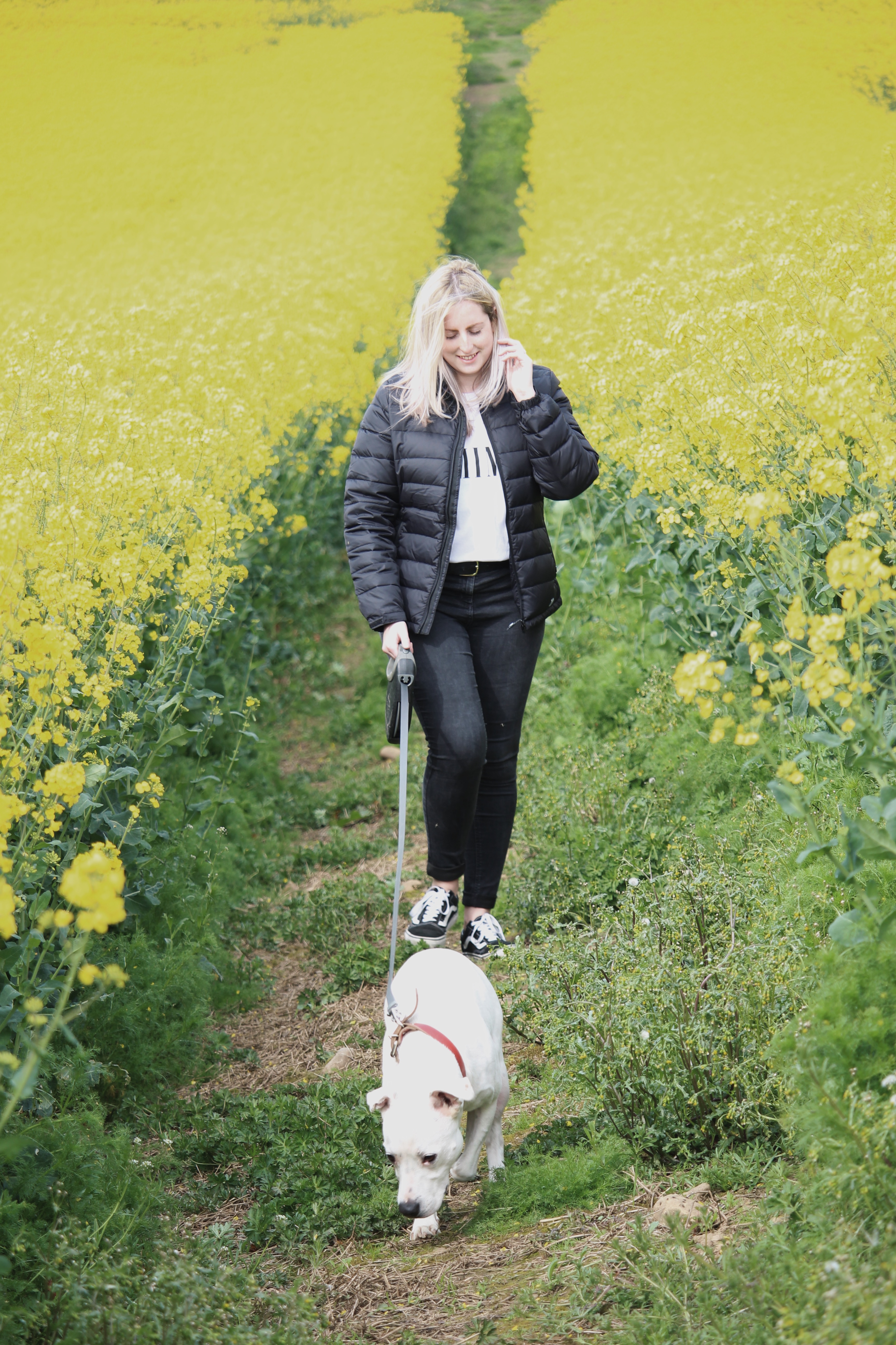 THREE GREAT DOG WALKS IN & AROUND YORKSHIRE | QUEENBEADY