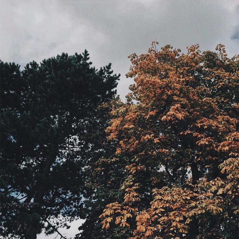 STUCK IN A RUT AND NOT KNOWING WHAT TO DO? | QUEENBEADY