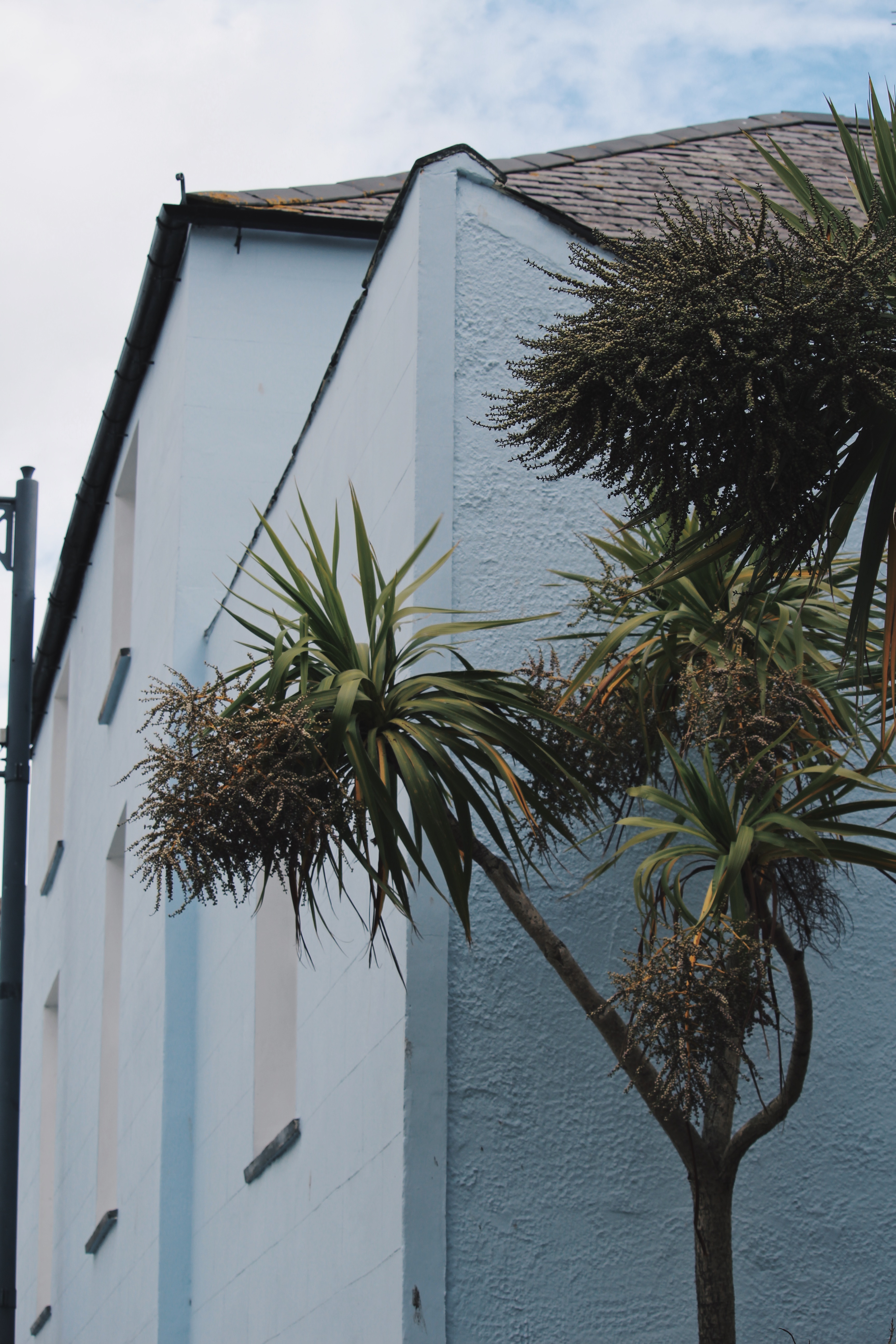 PHOTO DIARY ANGLESEY