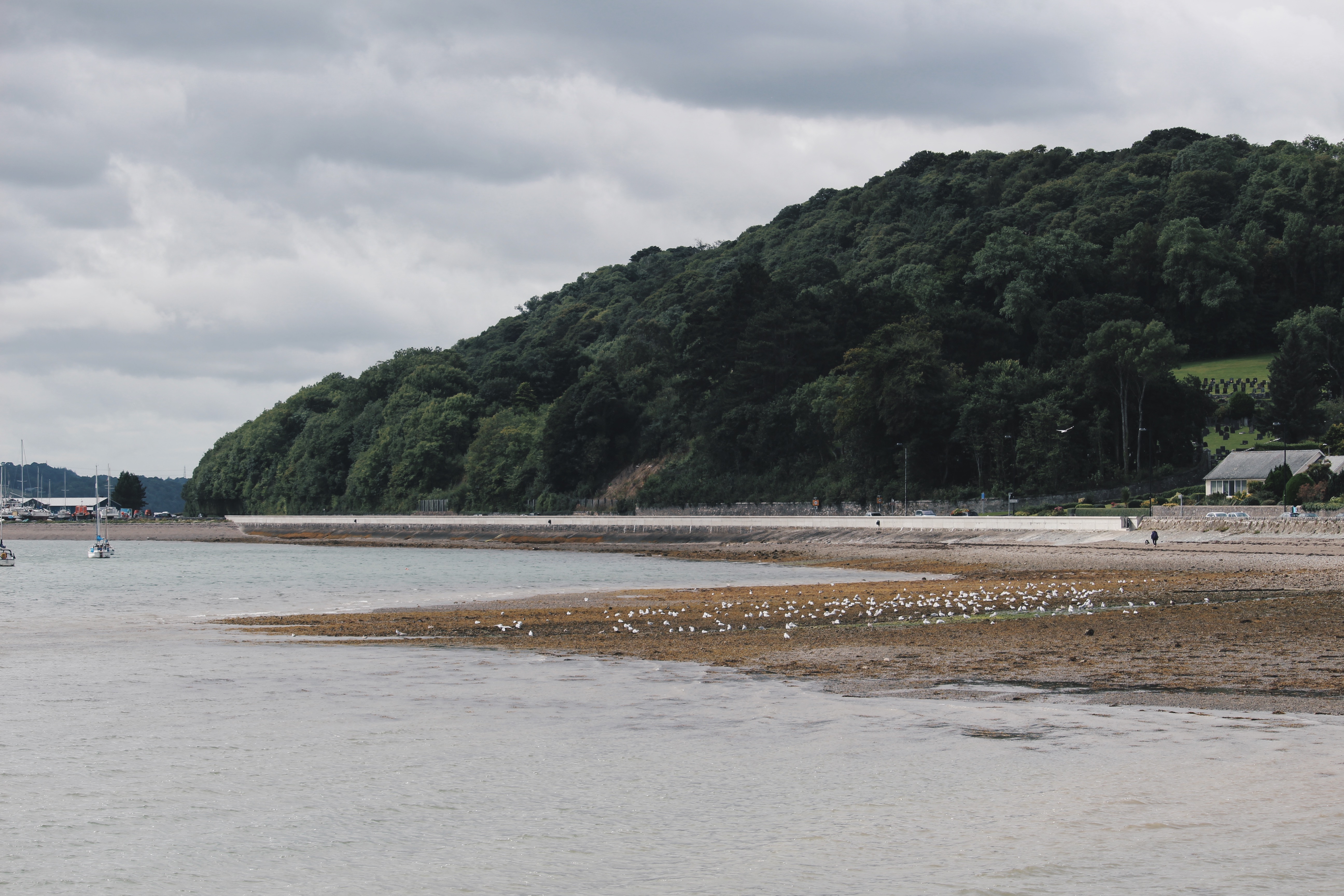 PHOTO DIARY ANGLESEY