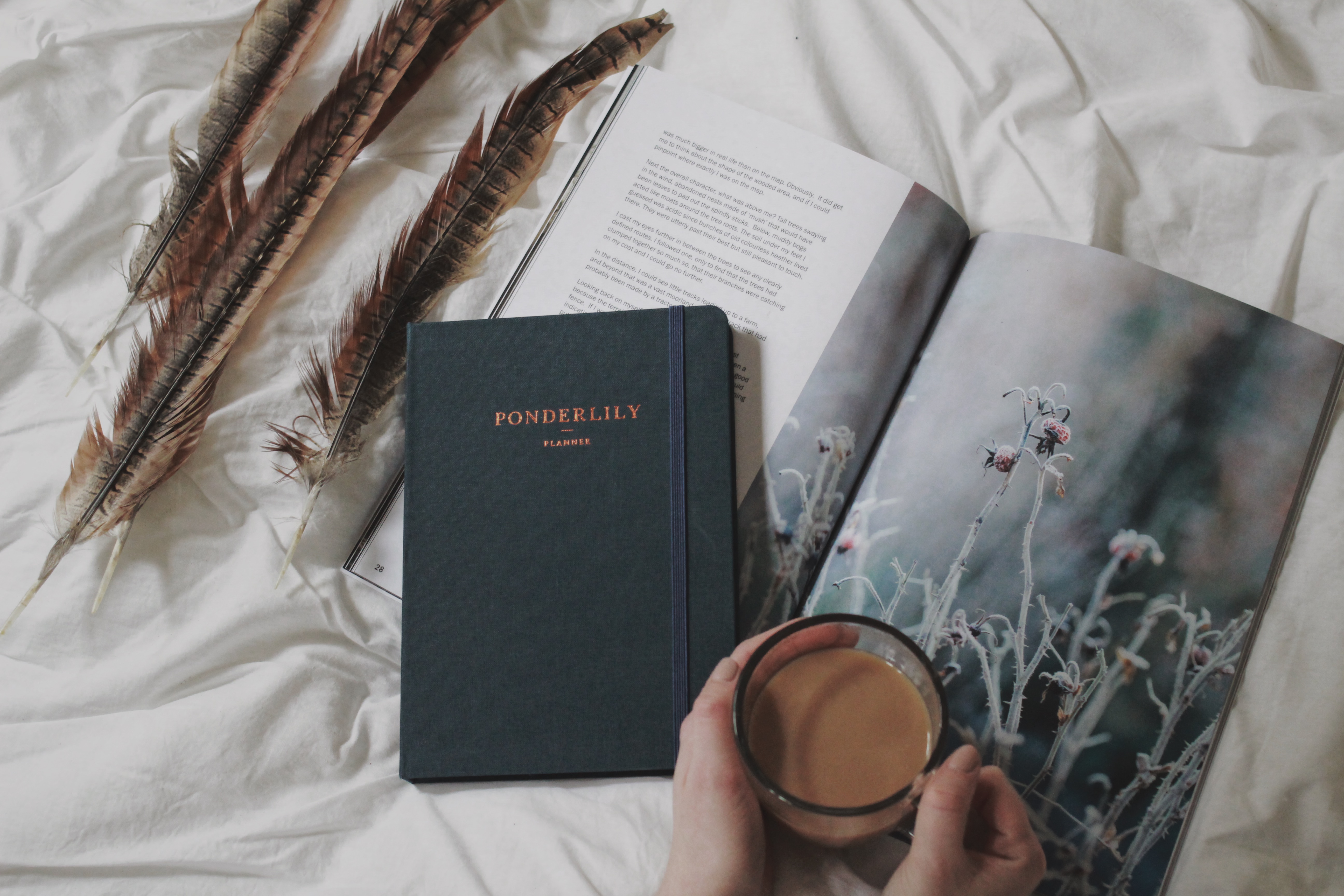 Processed with VSCO with 4 preset