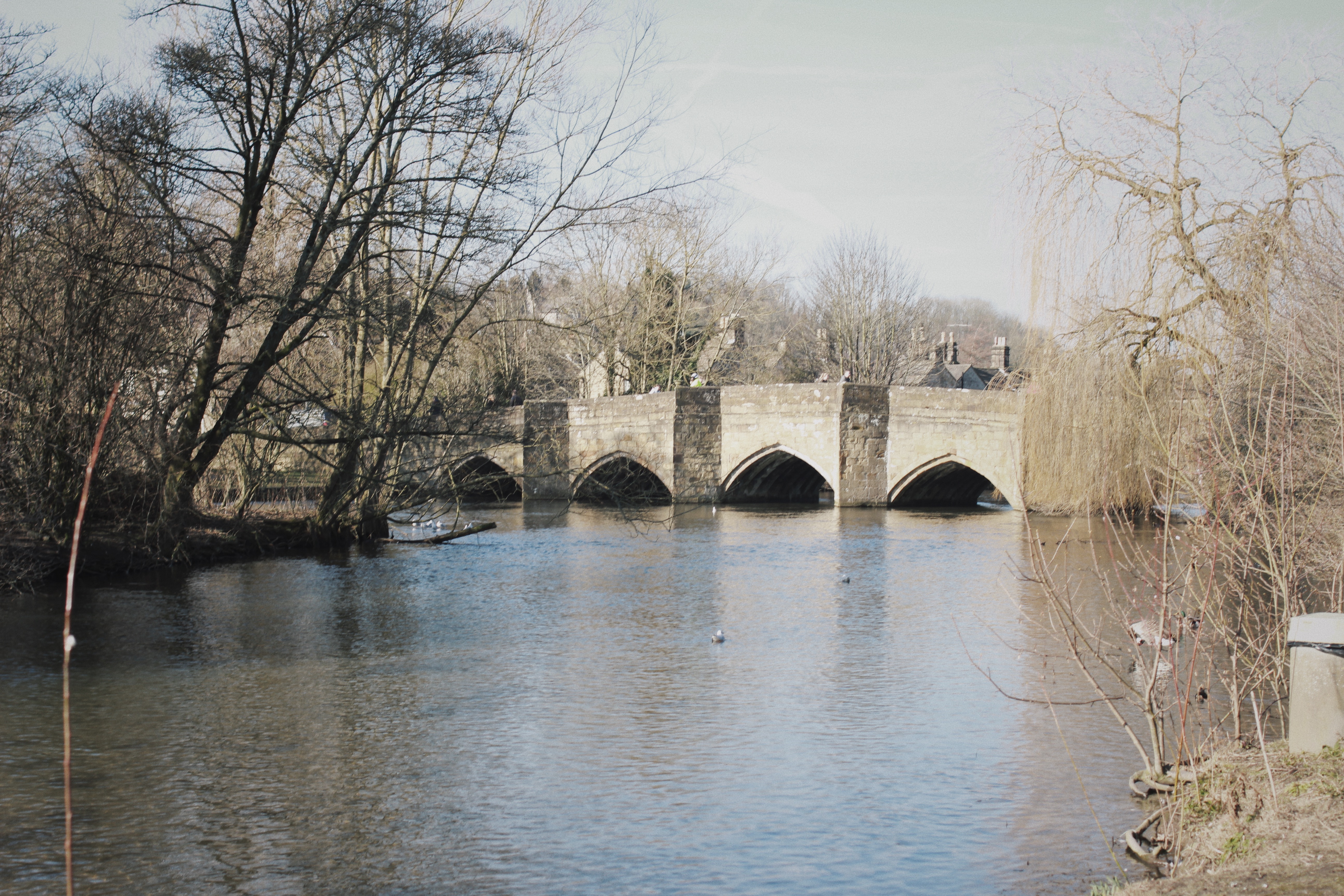 Processed with VSCO with hb2 preset