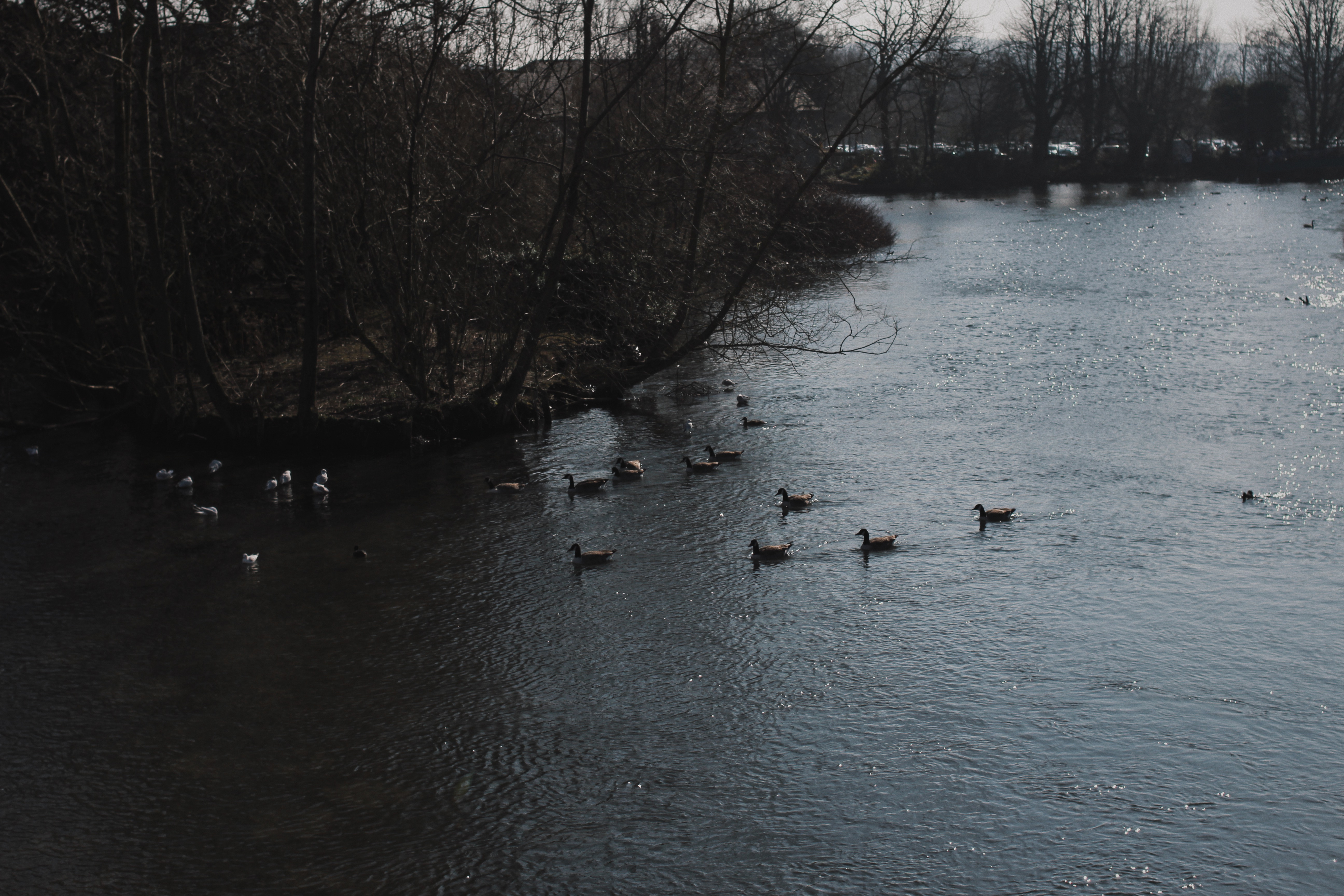 Processed with VSCO with hb2 preset