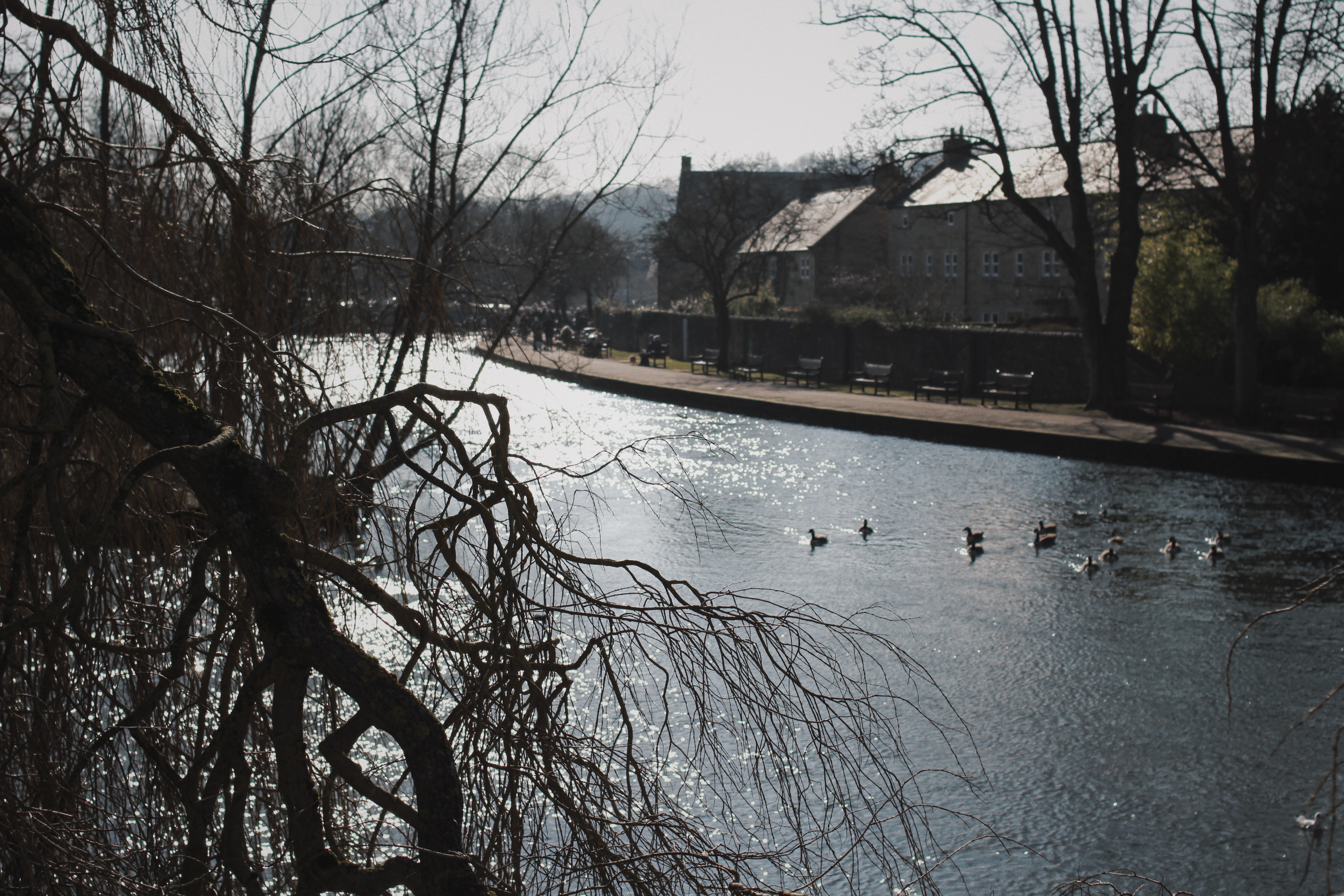 Processed with VSCO with hb2 preset