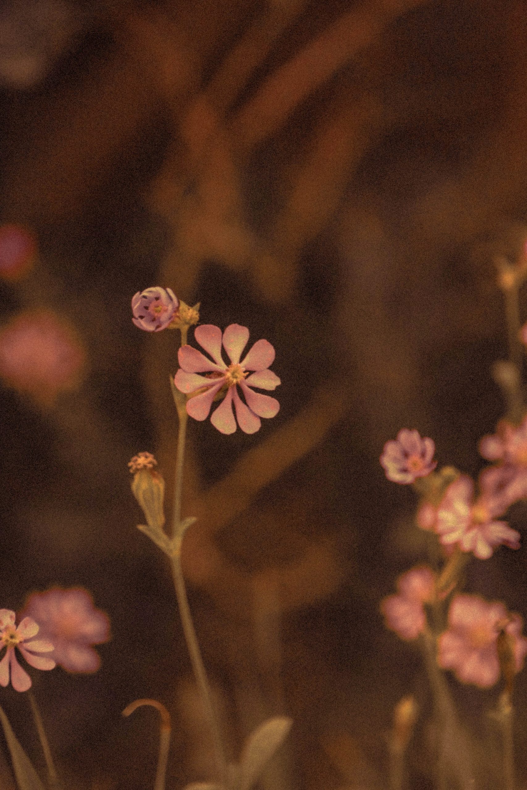 Reacting to Loss: The Influence of Sentimentality, Nostalgia and Grief