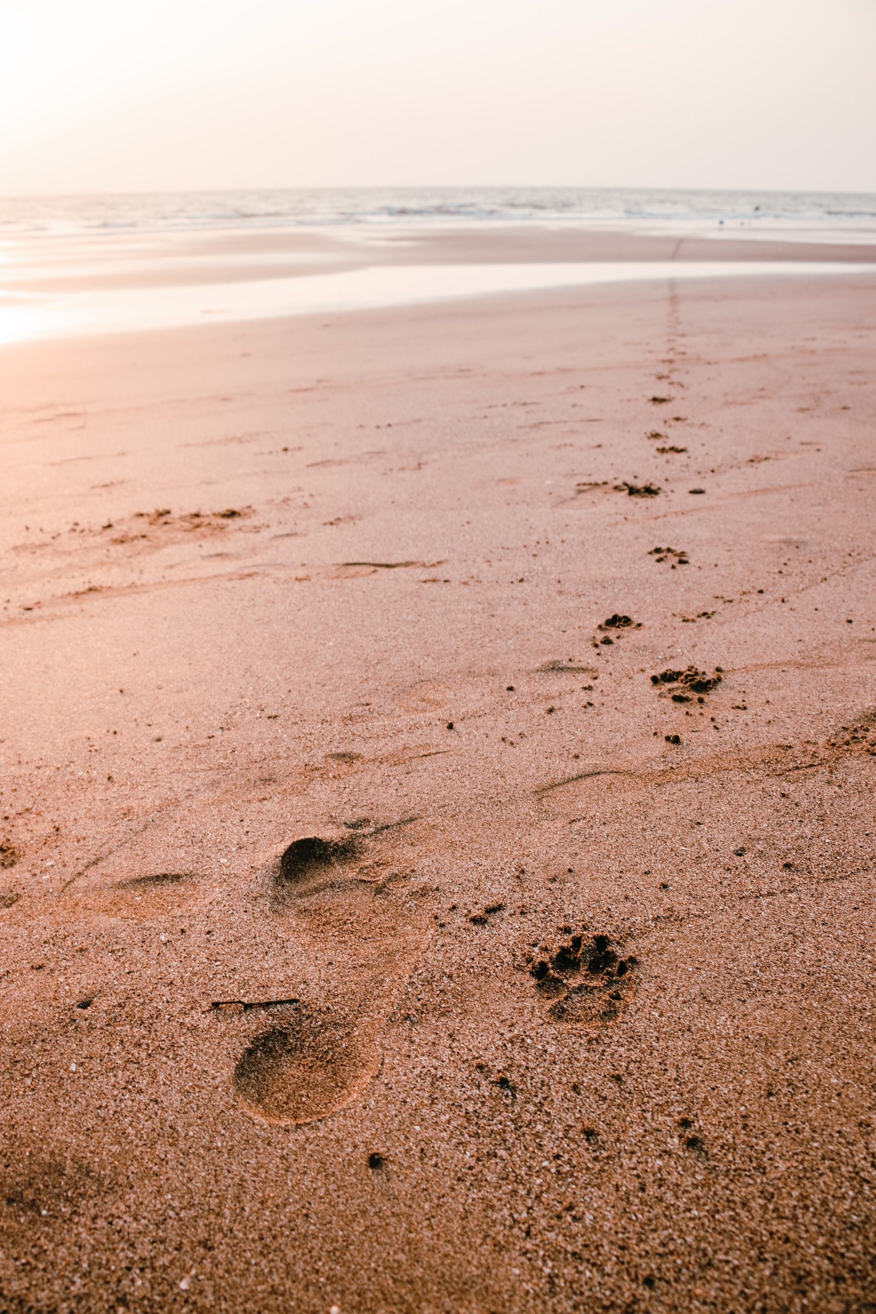 How Travel Benefits You As A Person